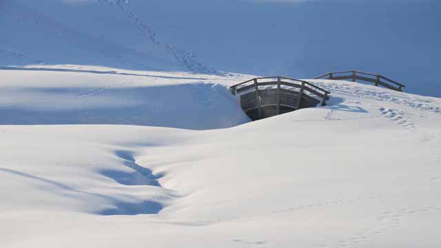 Pont
